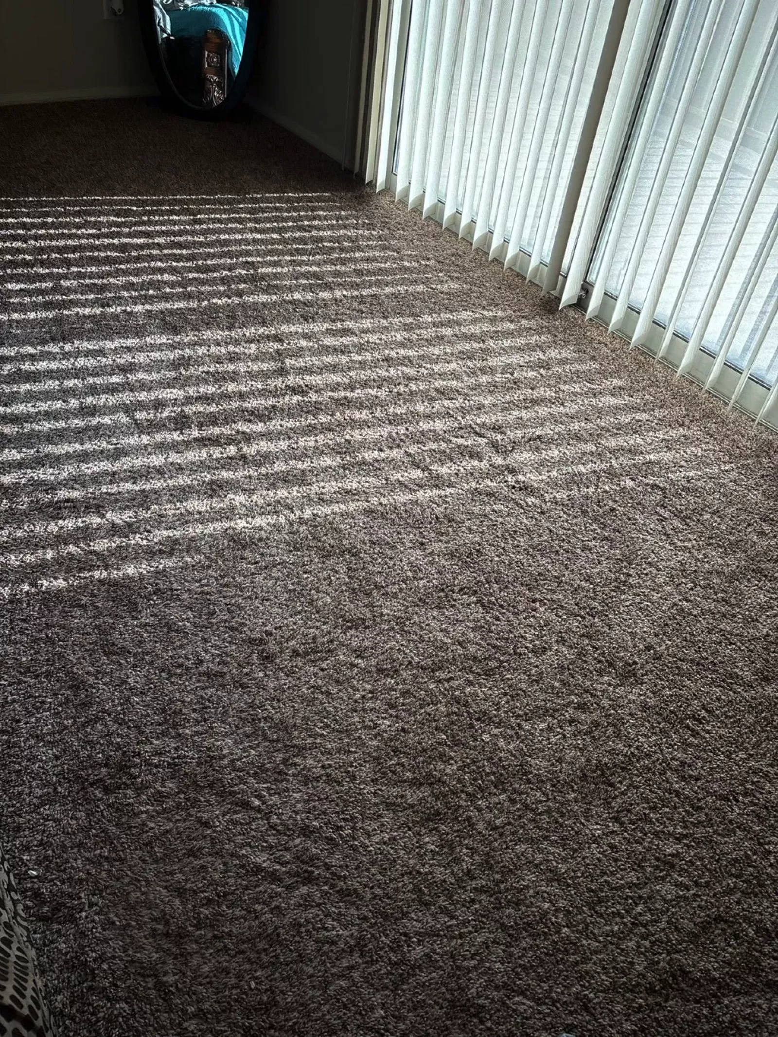 Carpet Cleaning in Orange, CA