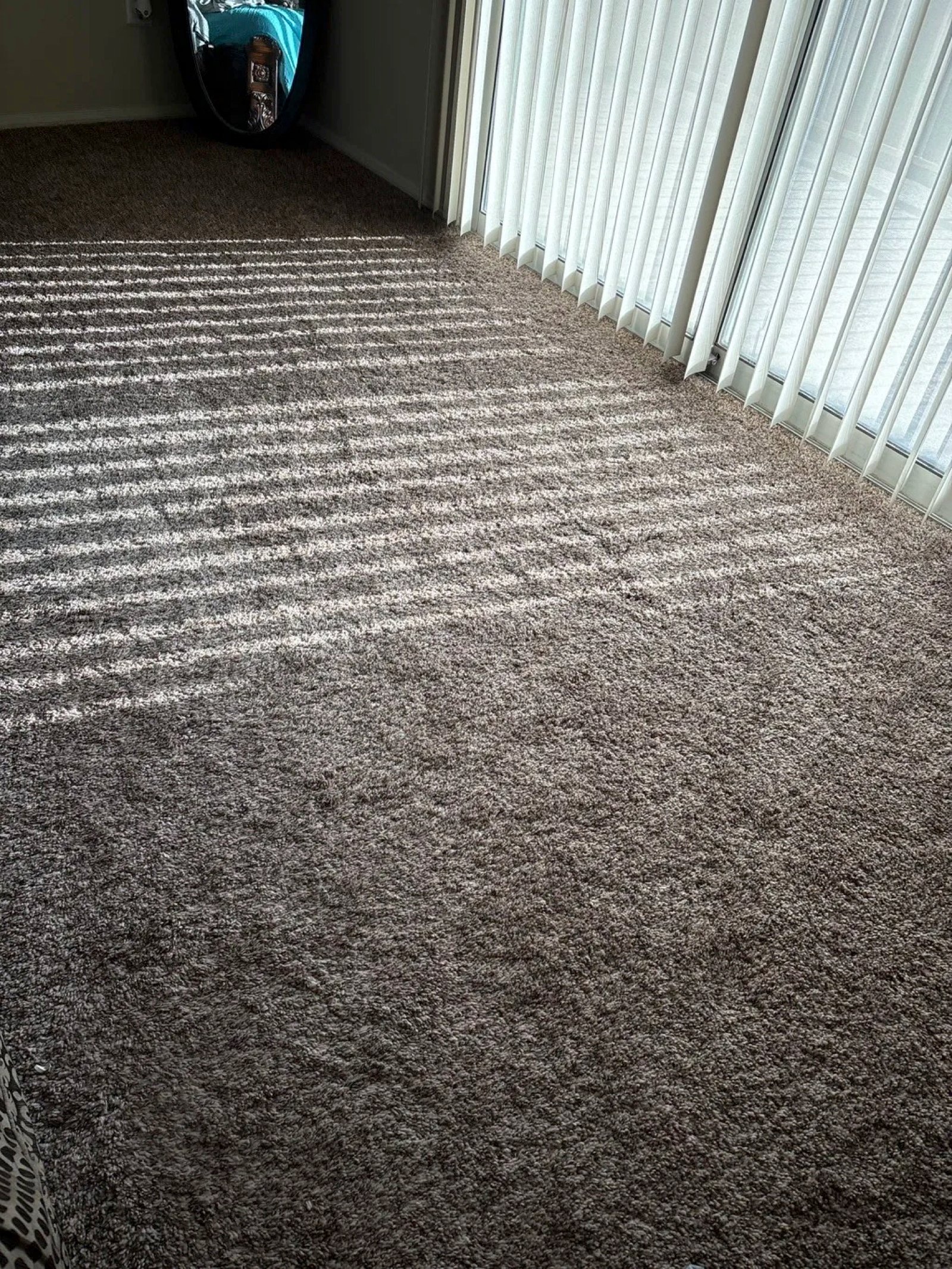 Carpet Cleaning in Orange, CA