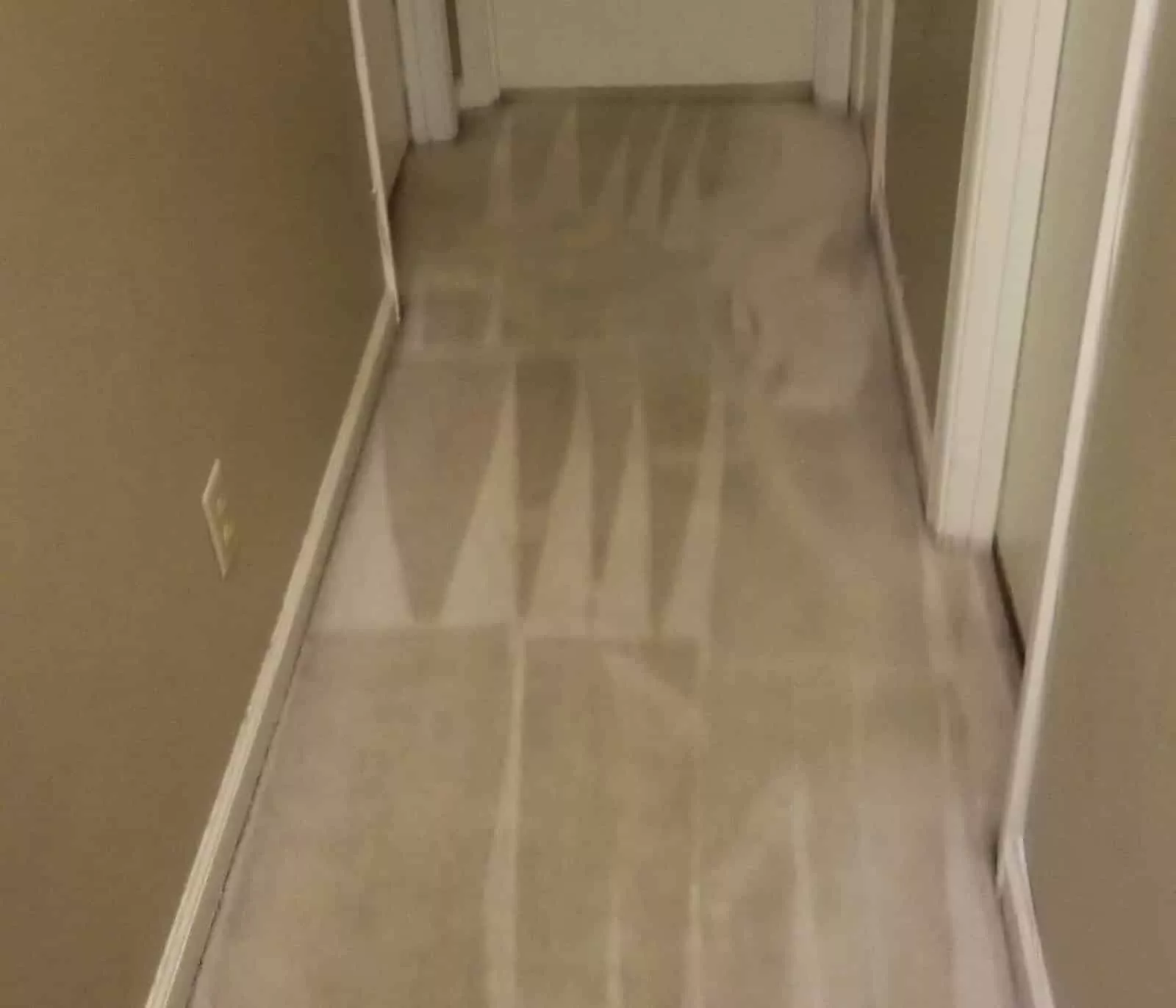 rug cleaning Orange, CA