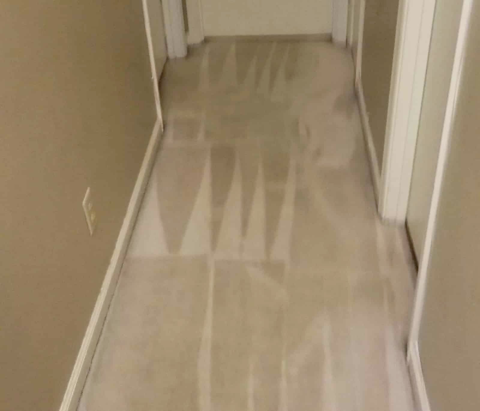 rug cleaning Orange, CA